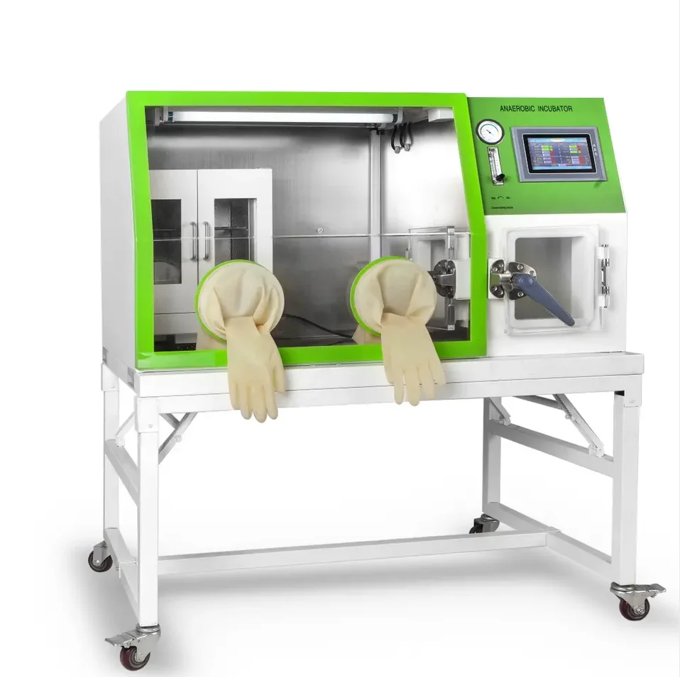 Anaerobic Incubator Steel Power Supply Controller For Laboratory Microbial Incubator Yqxii