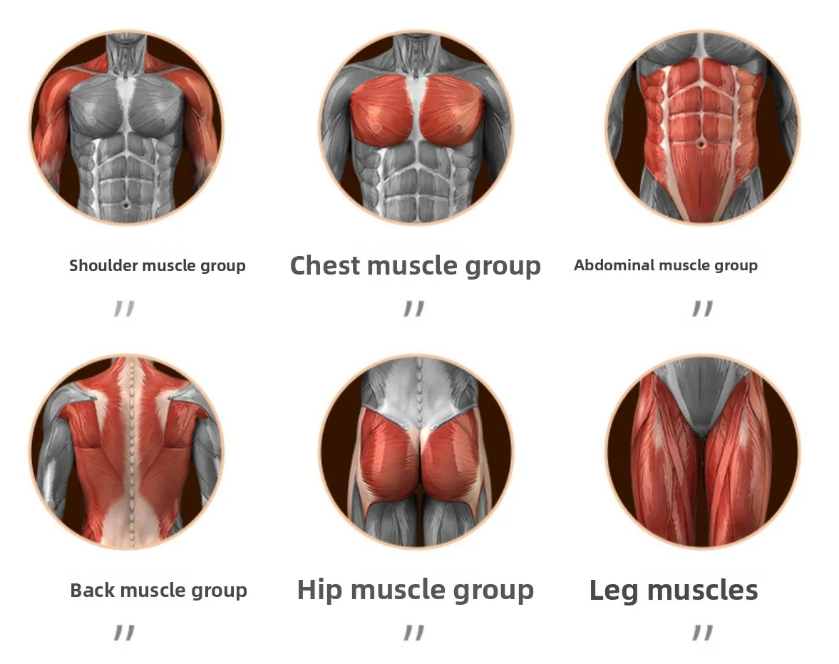 Factory Direct Two-Wheel Four-Ellbow Abdominal Muscle Trainer Flat Support for Ab Roller Wheels for Automatic Rebound Elbow