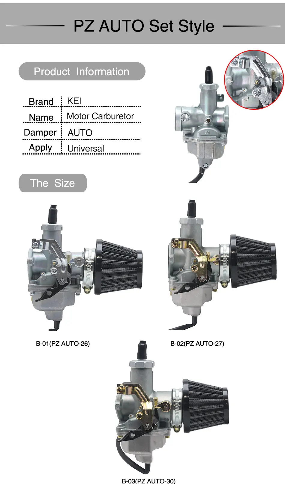 Pz19 Carburetor Manual