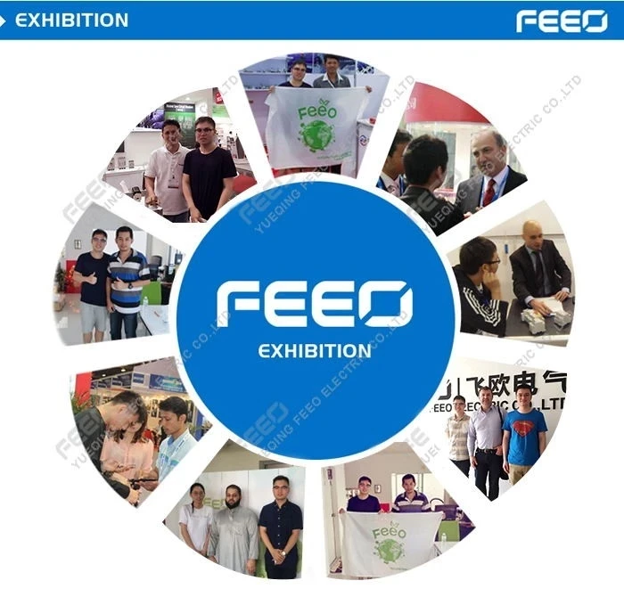 FEEO FSPA40 AC SPD Surge Protective Device for Solar PV system 1P 2P