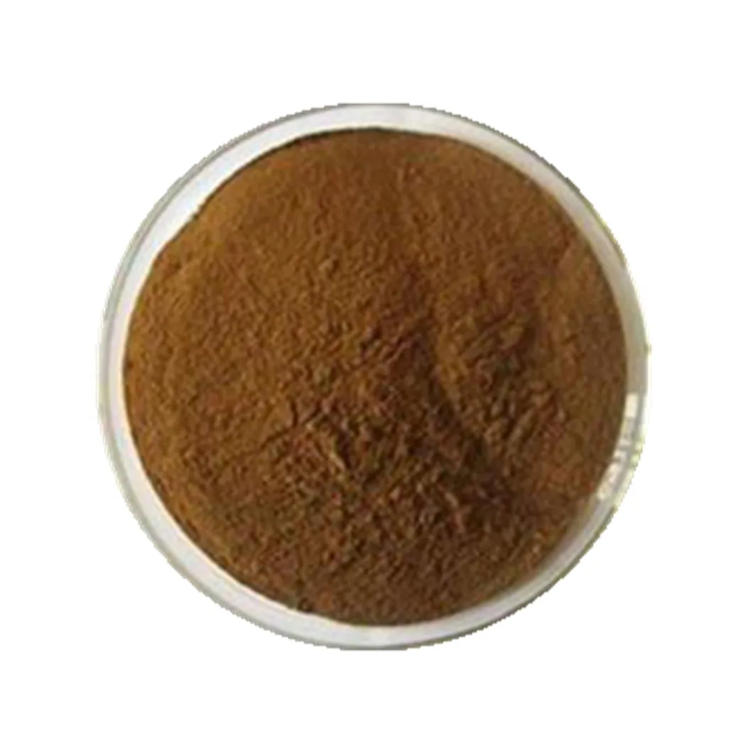 Natural Chinese Herb Jue Ming Zi Cassia Extract Cassia Seed Extract Buy Cassia Seed Extract 