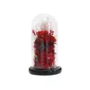 Classic Red Series Eternal Flower Preserved Fresh Flower Real Rose Fallen Petals in Glass Dome Home Decoration Gift Supplies