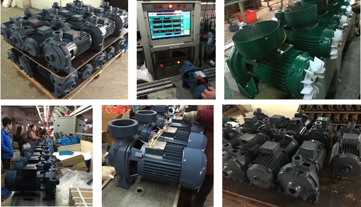 paste-pic-dp_uuid_z6ekk