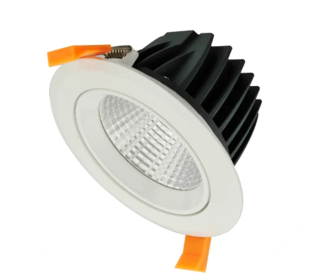 Led Spot Downlight Light Indoor Luminous Body Lamp Power Style COB die-casting Rohs Color Material