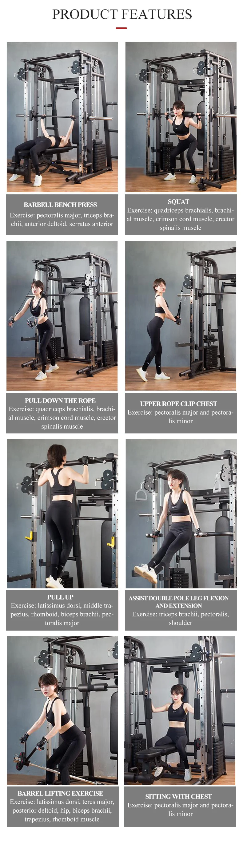 sitting squat machine