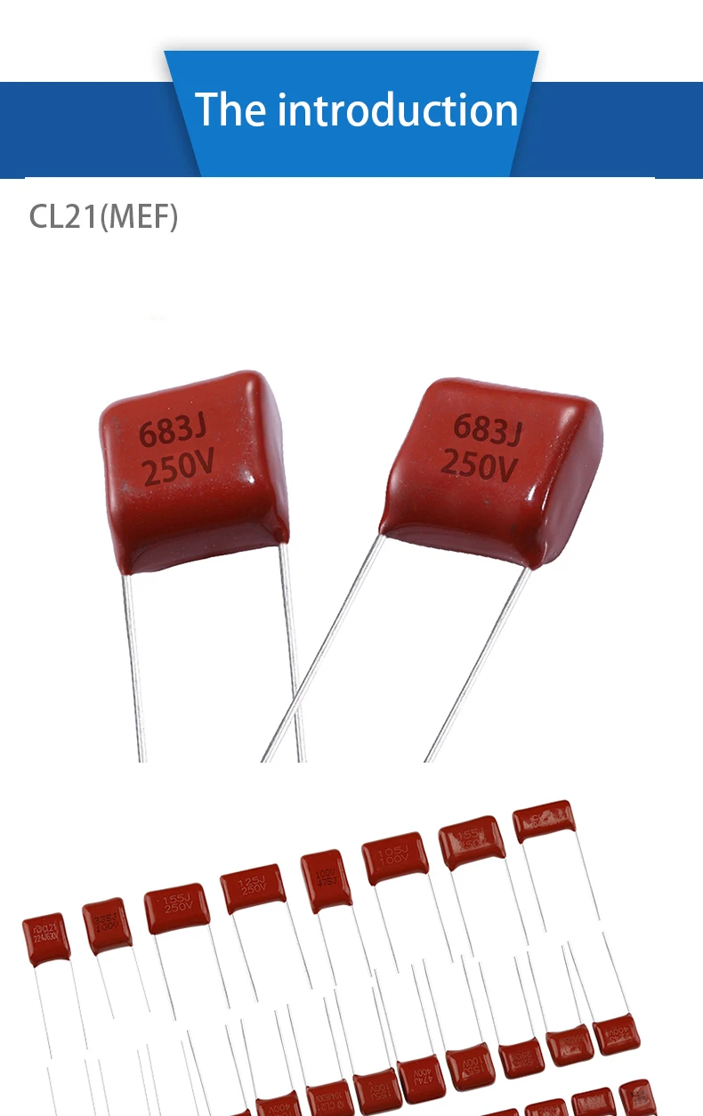 CL21(MEF) (2) .jpg