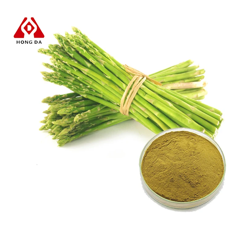 Hongda Factory Supply Asparagus Officinalis Extract Powder Asparagus