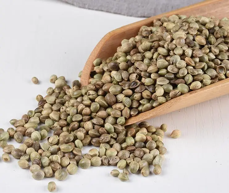 Huo Ma Ren Chinese Dried Hemp Seed For Sale Buy Hemp Seed,Hemp Seed