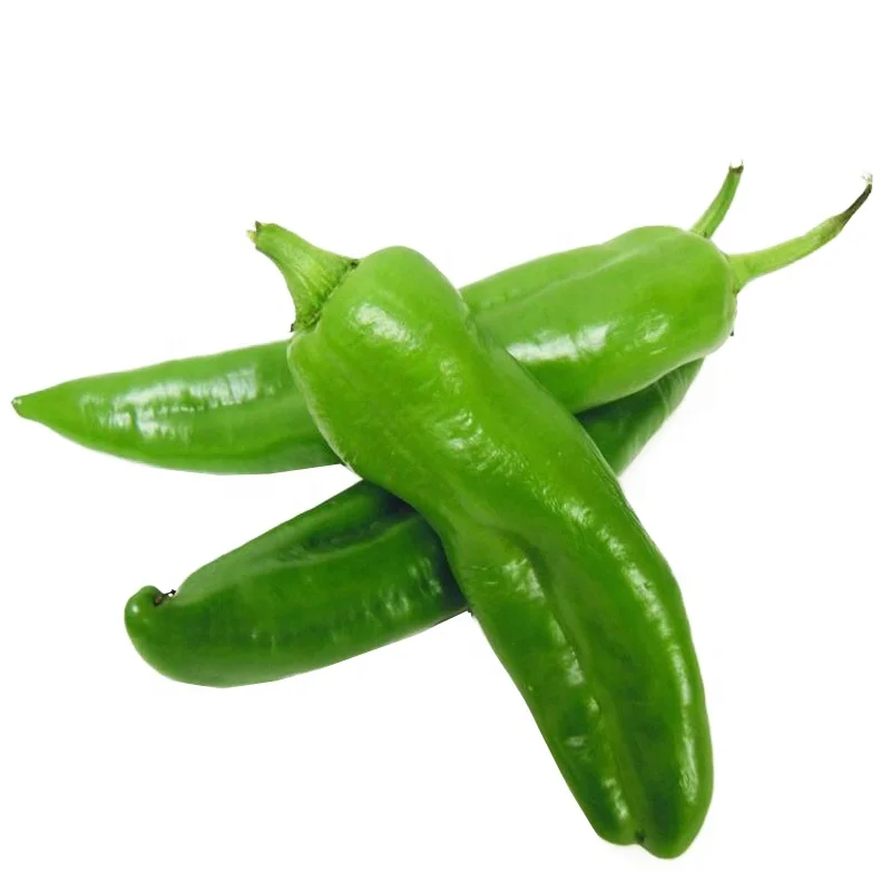 批发高产蔬菜种子大喇叭绿色辣椒露地栽培