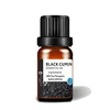 /product-detail/wholesale-nigella-sativa-100-pure-natural-organic-black-seed-oil-60757145292.html