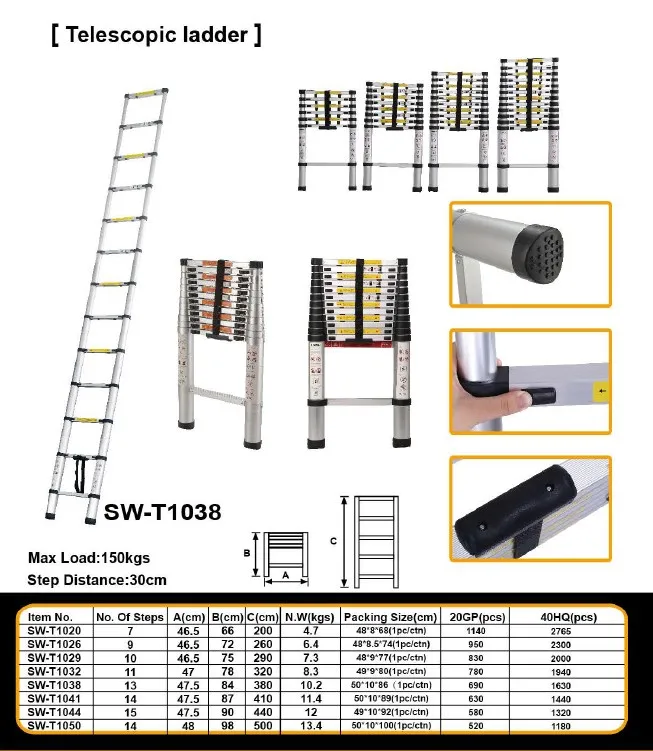 double telescopic ladder