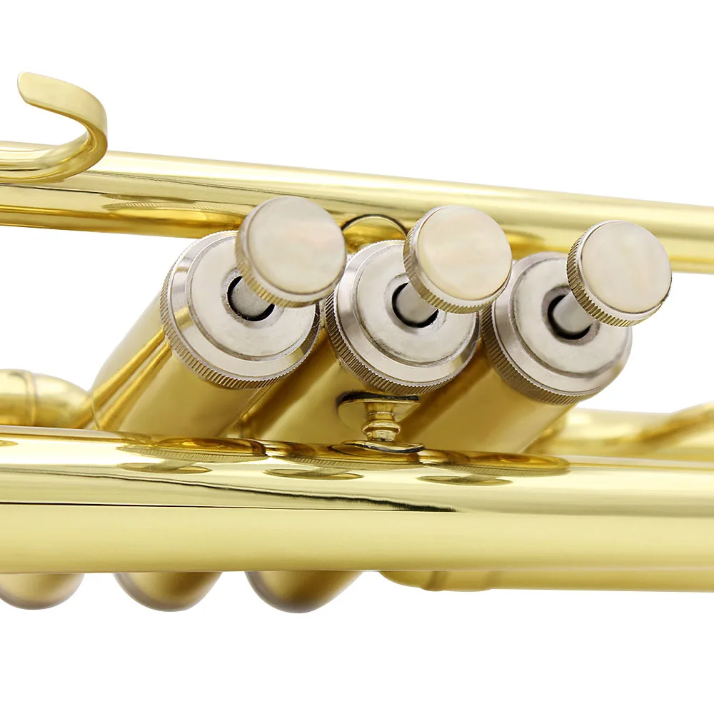 Mini Brass Instrument SLADE B- Small Size Brass Tube Body Professional and Student Beginners ...