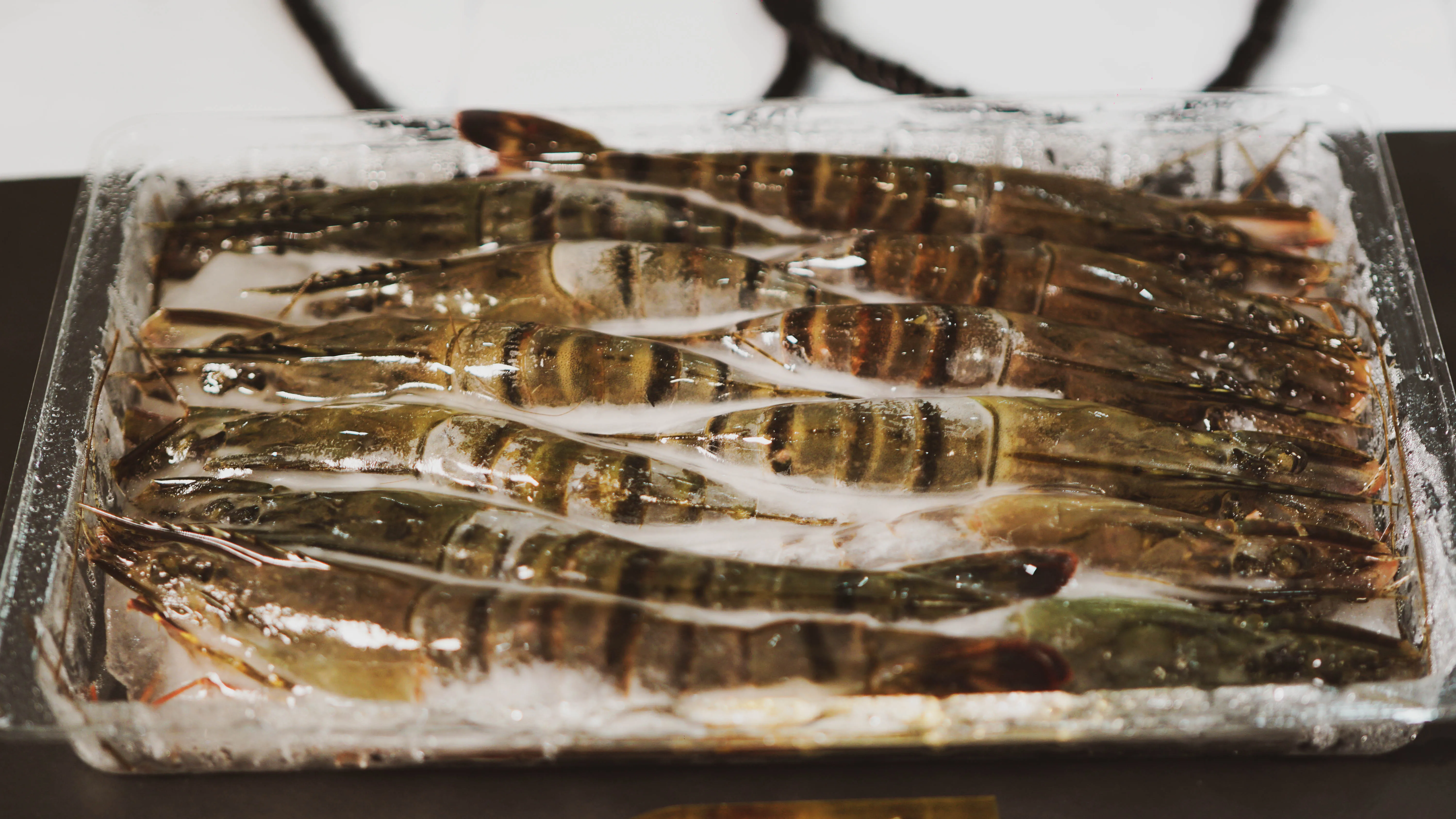 frozen black tiger shrimp (whole shrimp)