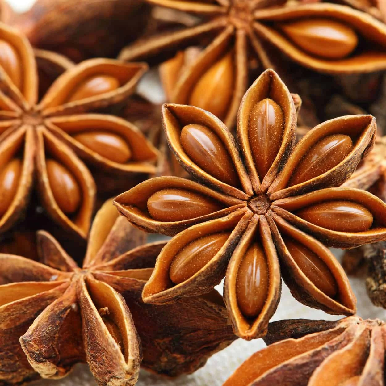 
Chinese Spices&Herbs supplier wholesales Anise Seed Whole Anise Seed Star Ground Anise Seed Star Whole for Seasoning Materials 