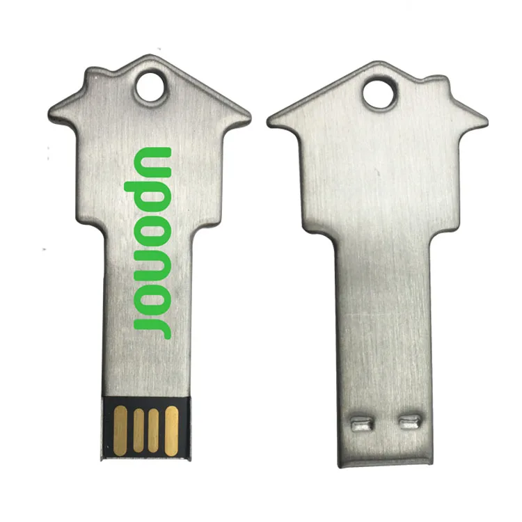 house usb key (26)