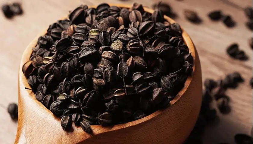 factory supply siberian ginseng extract