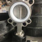 custom dn50-dn600 turbine worm gear wafer all stainless steel pinch butterfly valve
