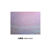 Laboratory Research Teaching Human Pathology Prepared Slides
