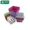 waterproof disposable multipel color paper pulp berry container