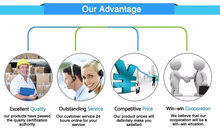 China Private Label Electric Brush Tourmaline Titanium Ceramic Steampod Flat Iron Professional Steam Hair Straightener