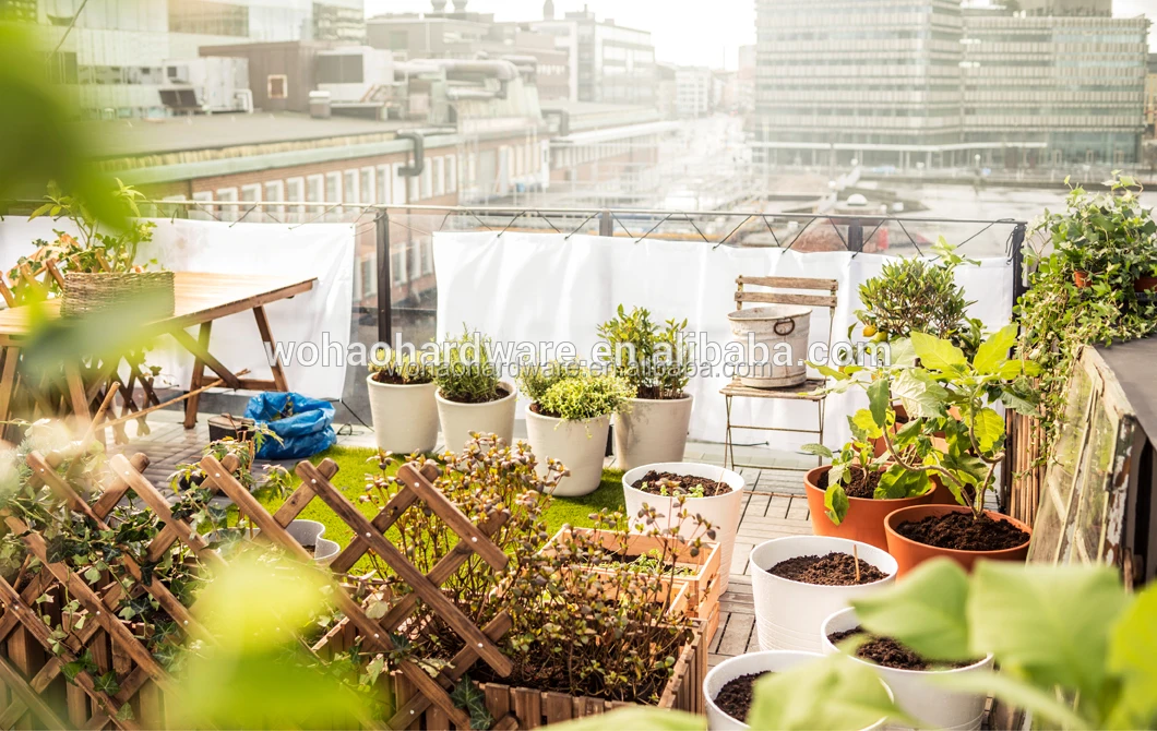 photobank (7)_wps.jpg