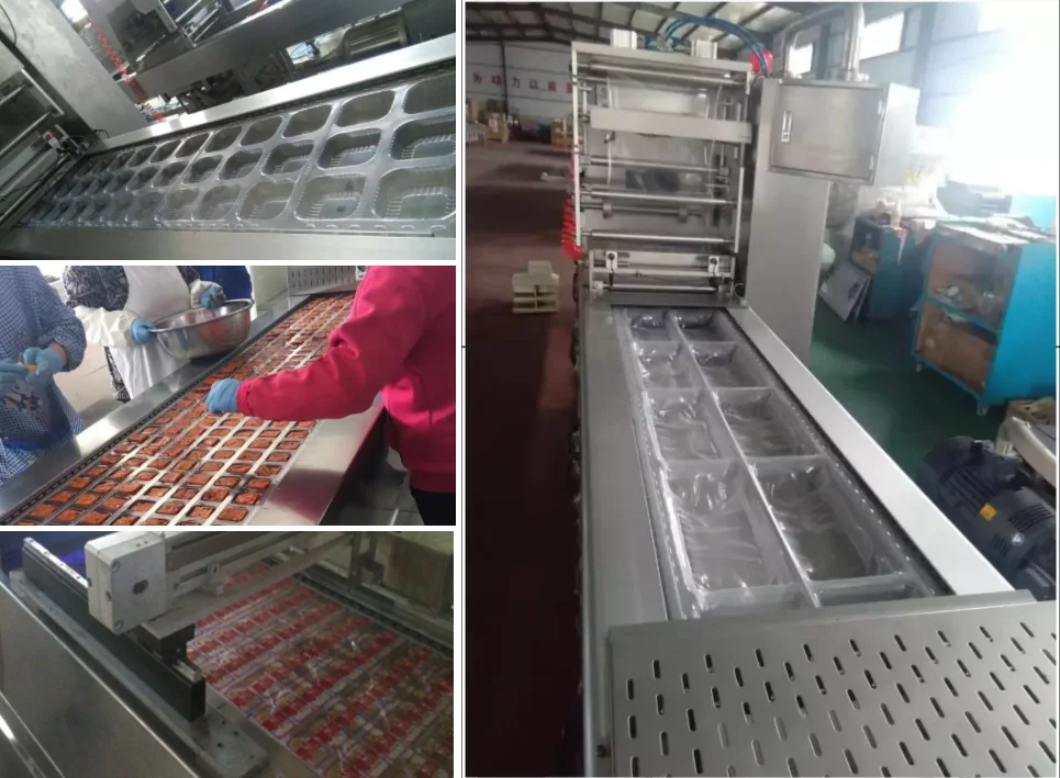 Chinese Supplier Automatic Thermoforming Stretch Film Food Vacuum Packing Machine