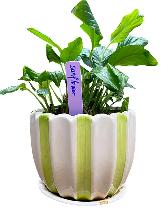 Uv Resistant Plastic Plant Labels Buy White Plastic Plant Labels,Printed Plant Labels,Custom
