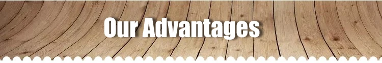 Our advantages.jpg