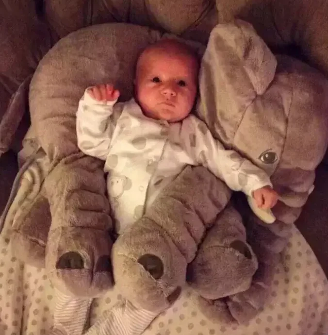 Verre Precipice Nuageux Elephant Coussin Bebe Record Du Monde Guinness Book Unite Climatisation