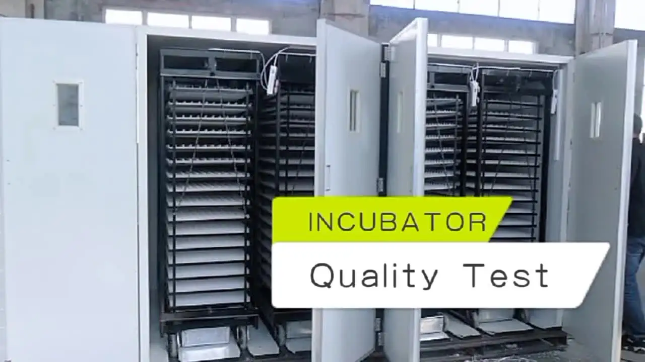 Hatchery Incubator Equipment
