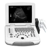 /product-detail/2d-3d-4d-colourful-portable-china-portable-laptop-medical-doppler-portable-cheap-veterinary-ultrasound-for-pregnancy-60712001942.html