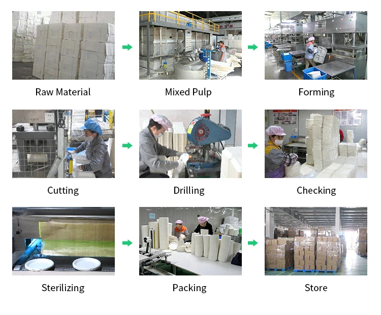 Disposable Sugarcane Bagasse Paper Plates