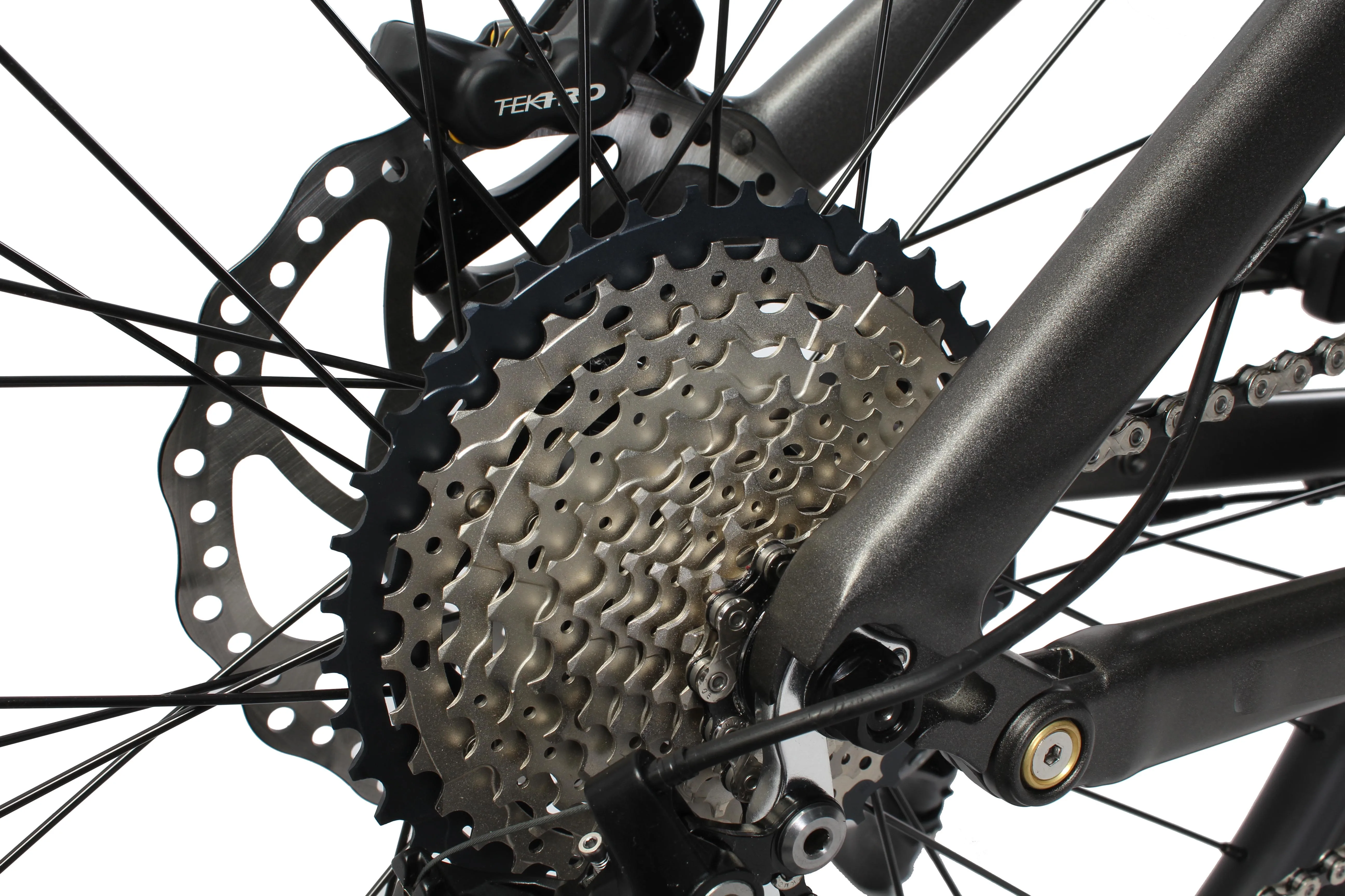 M600 e bike (13).jpg