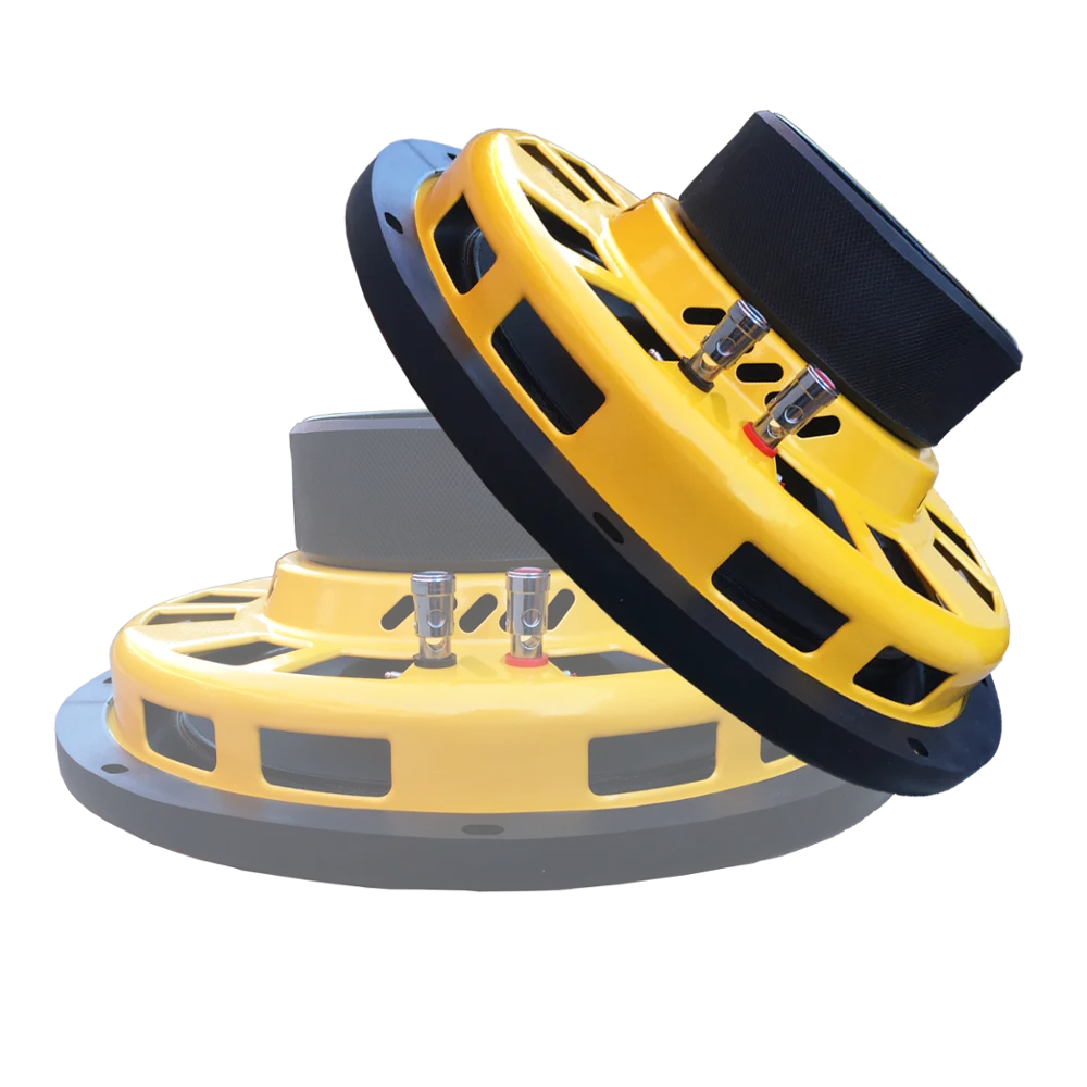 10 /12 Inch 300w Rms Power Slim Subwoofer For Car With Big Flat Dust