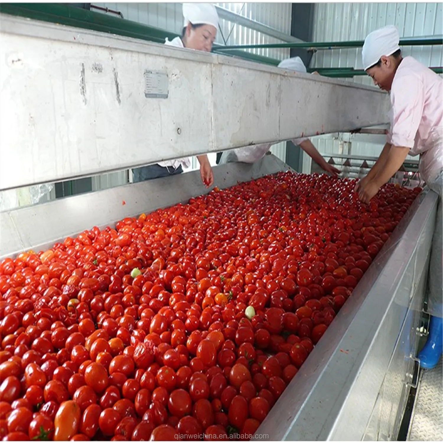 Automatic Small Scale Tomato Paste Processing Machine Small Size Tomato ...