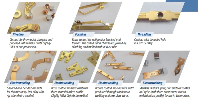 paste-pic-dp_uuid_b3cjq