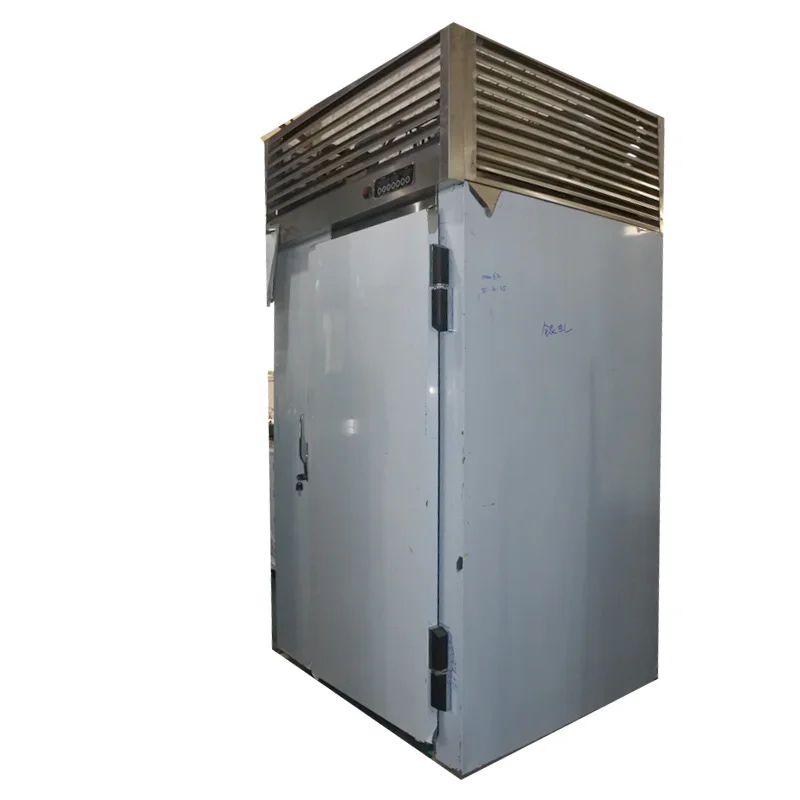Stainless Steel Blast Chiller, 380V, 100kg - detail 18