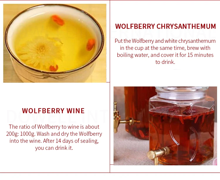 High Quality 100% Pure Natural Fresh Dried Organic Chinese Gouqi Berry Organic/ Lycium / Wolfberry