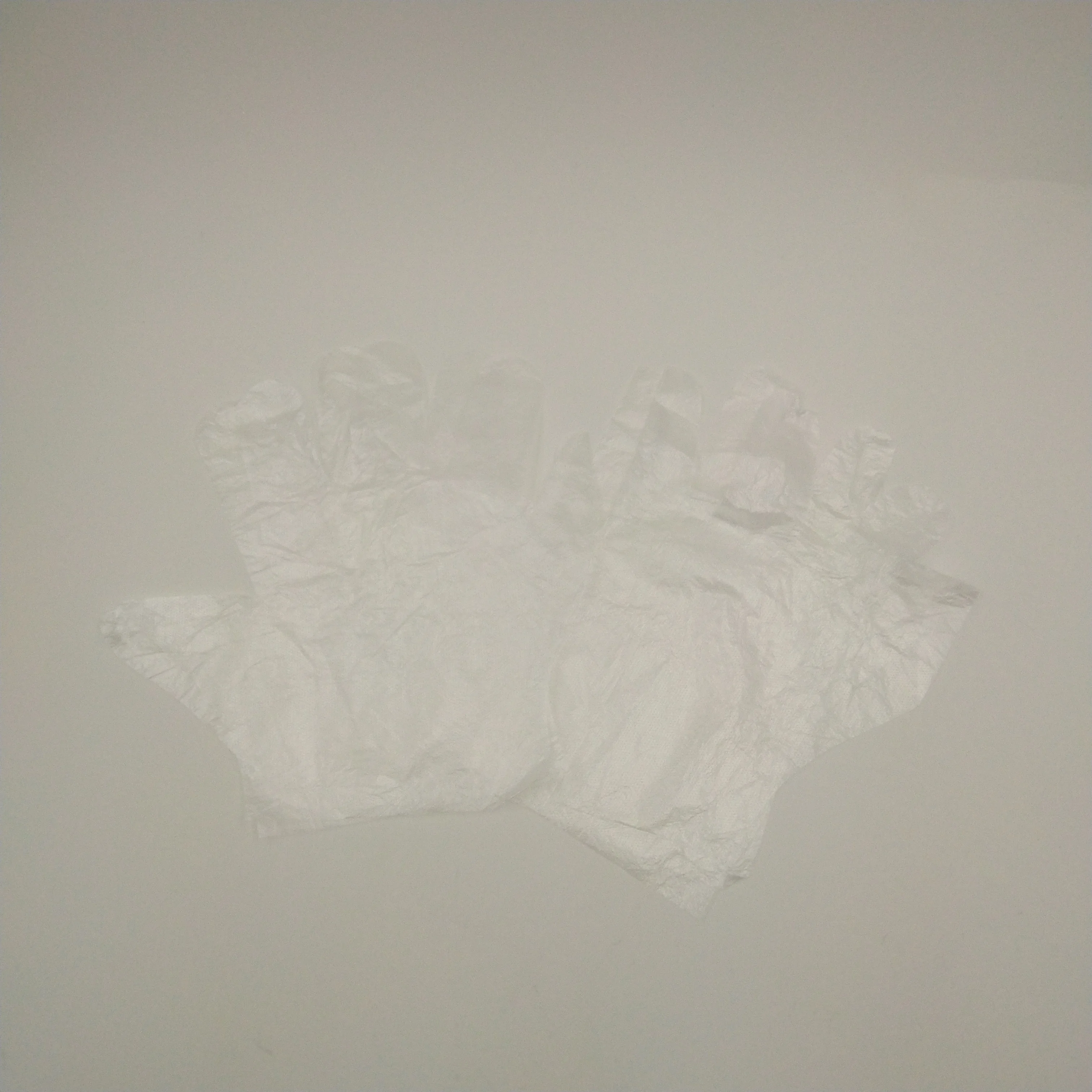 IMG_20200313_140833.jpg