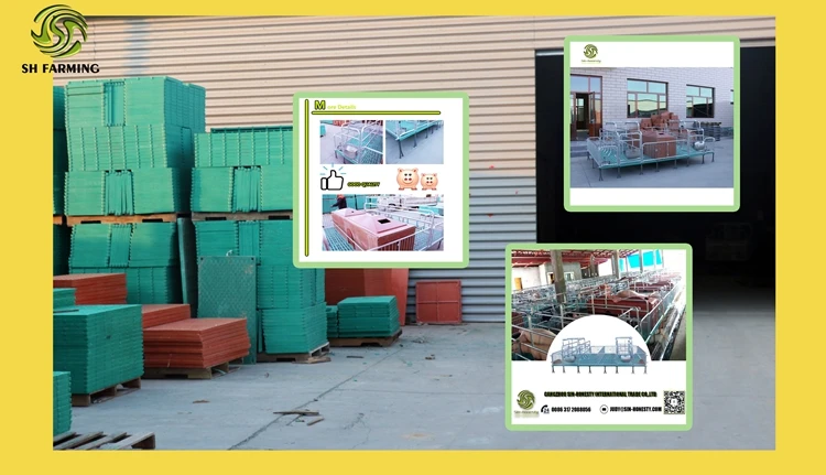Pig Farming Equipment Adjustable Farrowing Crates For Pigs