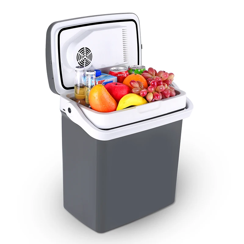 Car Cooler Refrigerator Guide: How to Choose in 2026