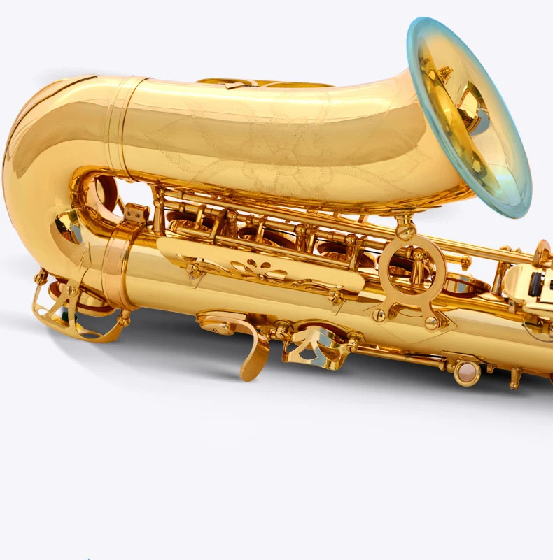 8899336528_589685214.jpg