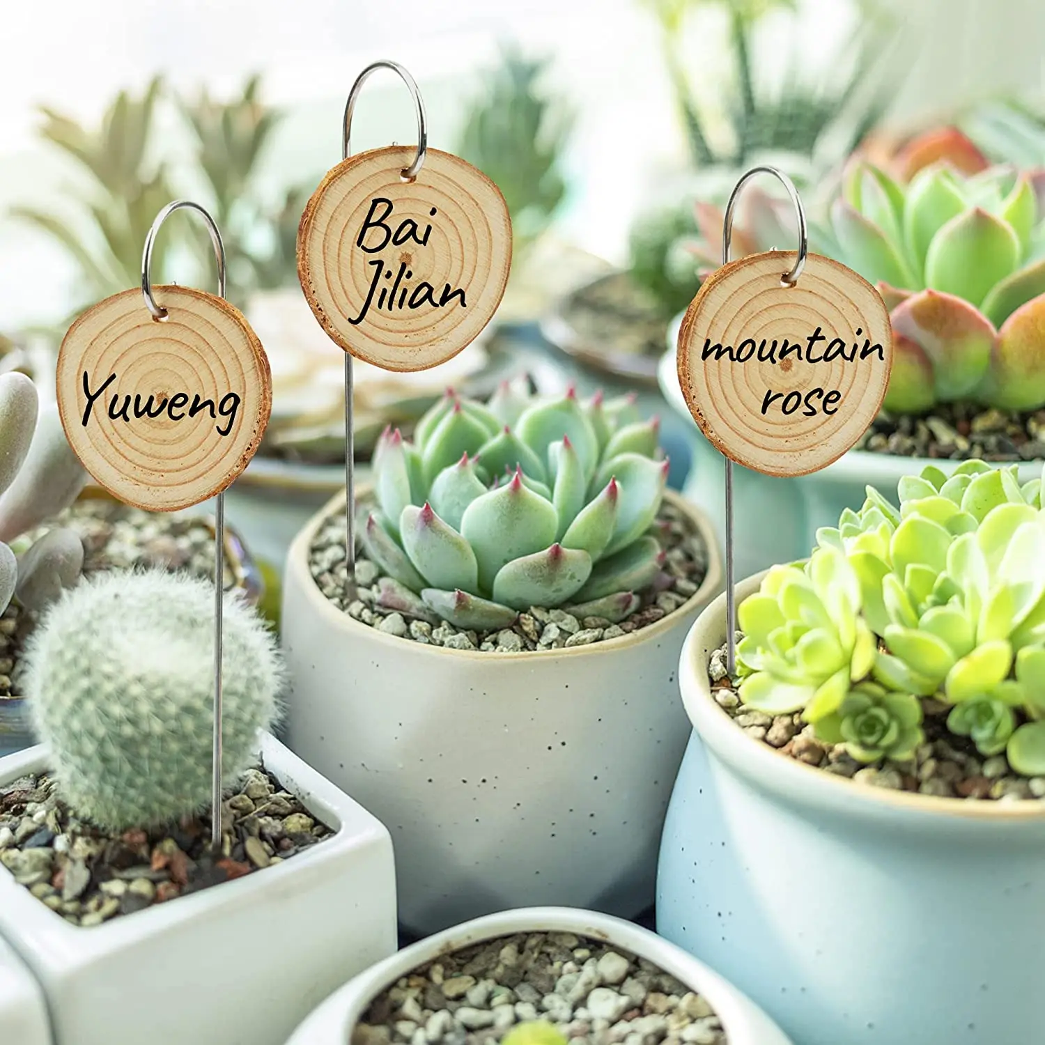 Plant Labels 25 Pcs Garden Markers With Stake Marker Pen Plant Sign