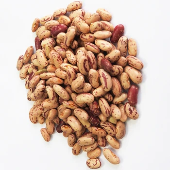 best dry pinto beans or (long shape) size 200-220 pcs light