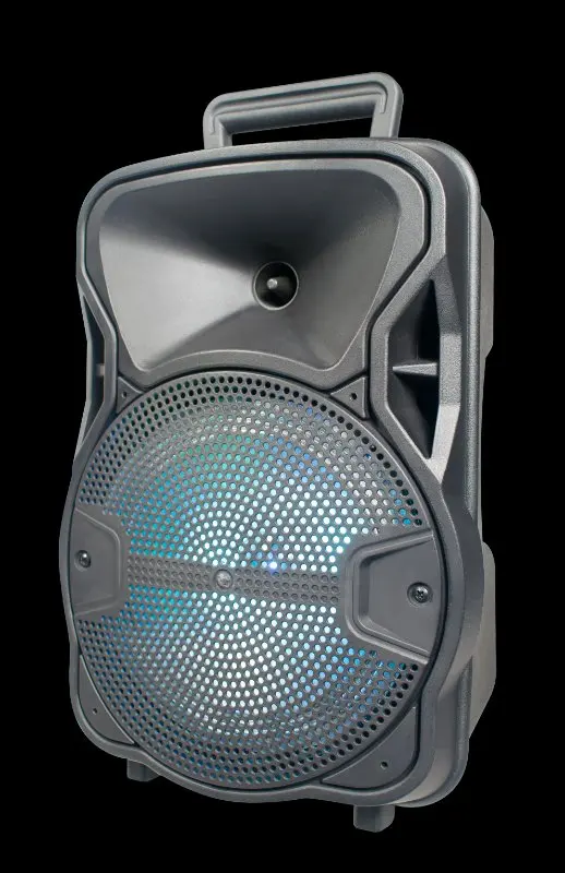 厂家直销1000w高品质户外潮箱便携式塑料扬声器库存巨大,配有有线