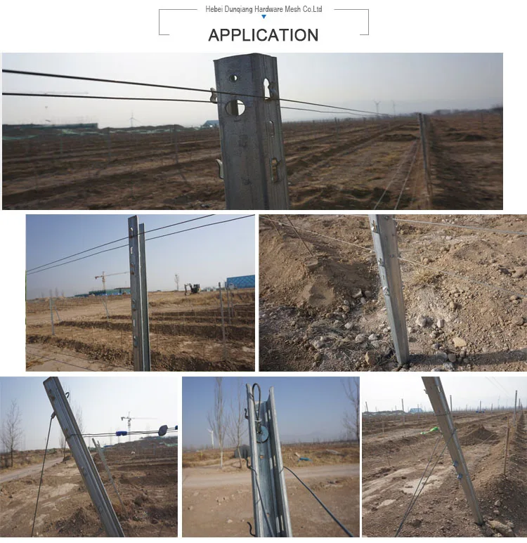 275g Hot Dipped Galvanized C Type Vineyard Metal Post Buy Round