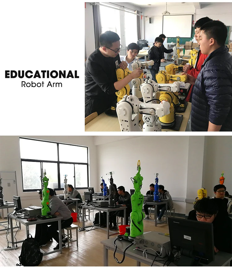 Robot Arm 6 Axis Oem