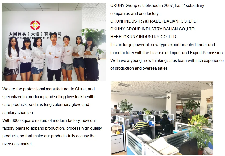 company information.png