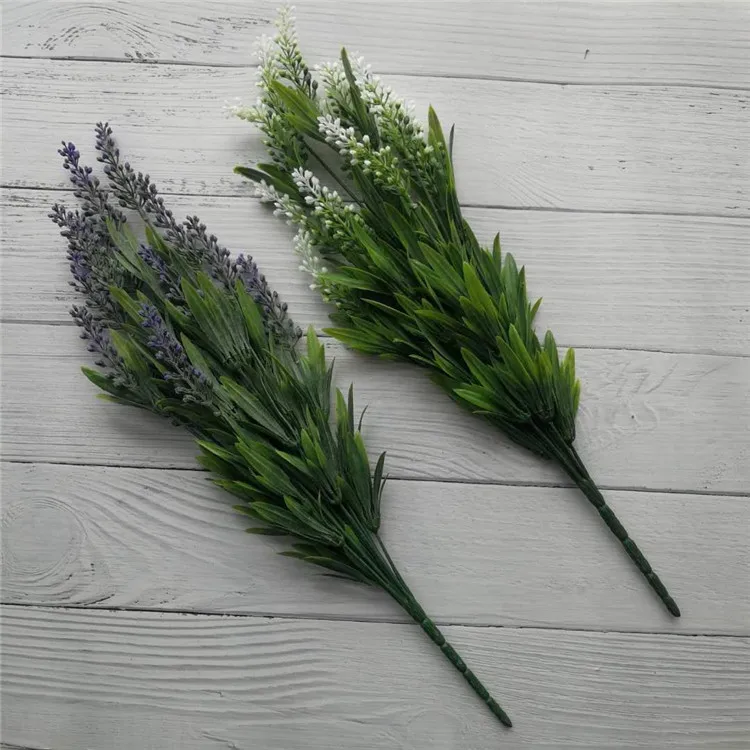 lavender (16).jpg