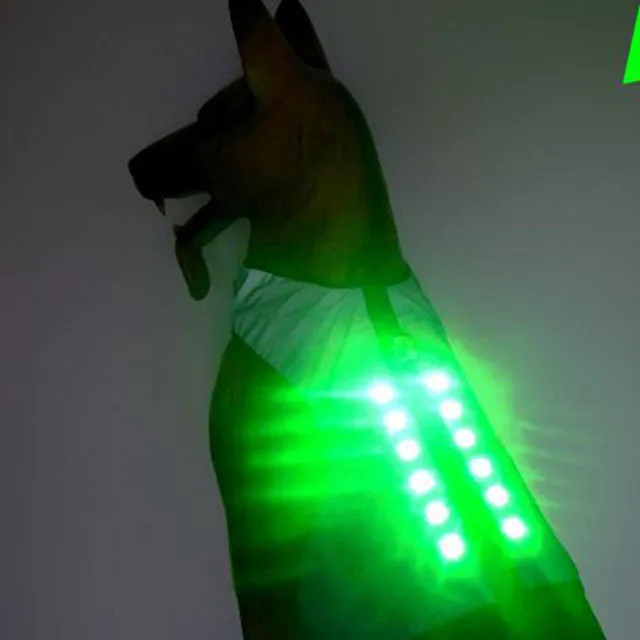 light up dog jacket